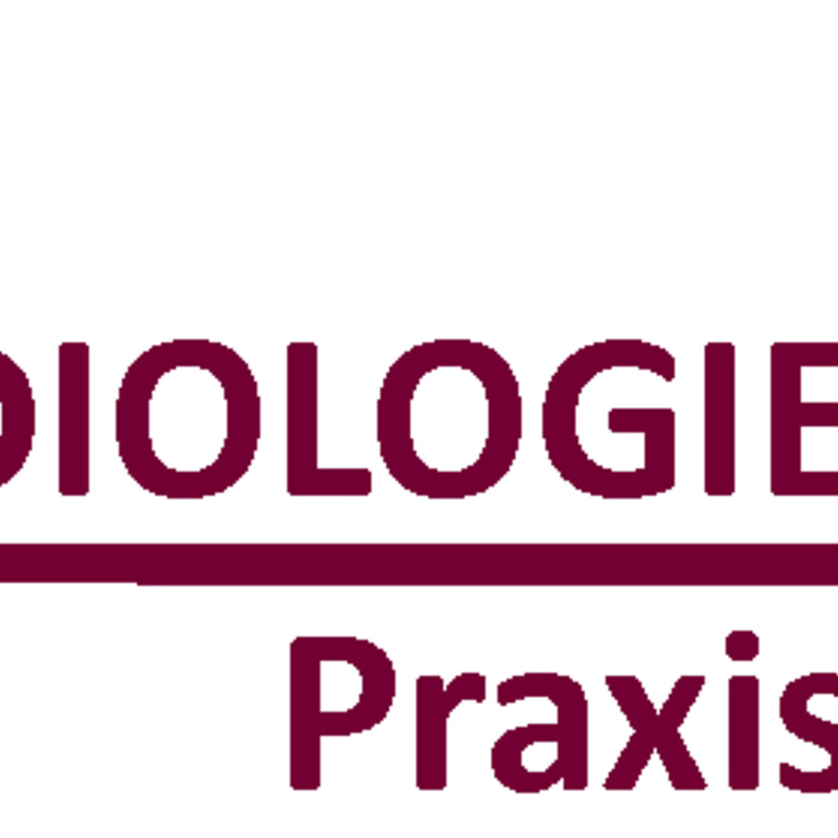 Mit viel Herz „Kardiologie Praxis Freiberg" eröffnet  Silberstadt